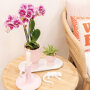 Roze orchidee en succulent op wit dienblad